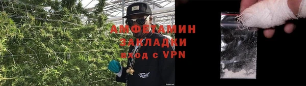 ГАЛЛЮЦИНОГЕННЫЕ ГРИБЫ Армянск