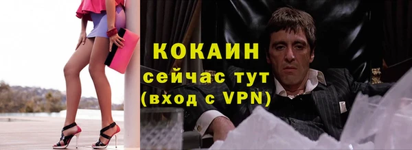 ешки Арсеньев