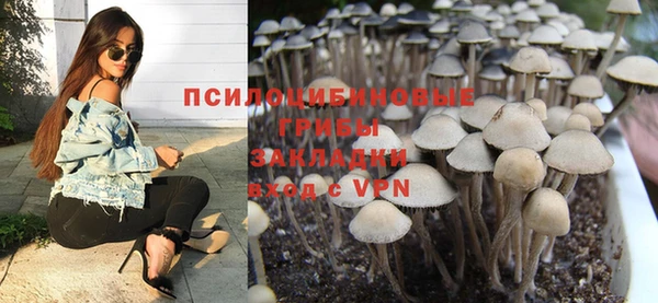 ешки Арсеньев