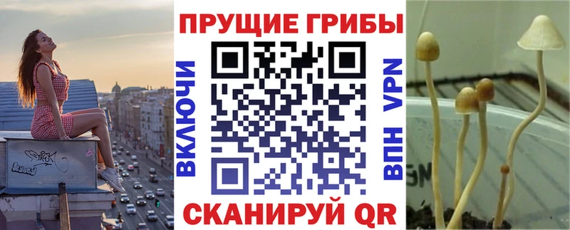 продажа наркотиков Кубинка Псилоцибиновые грибы мицелий